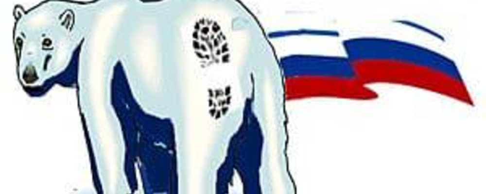 Пинок под зад едросовскому медведю