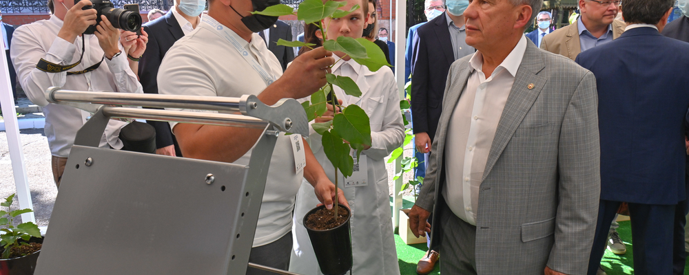 Саженцы от Татнефти