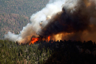 Горят сибирские леса