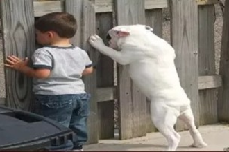 Любопытство